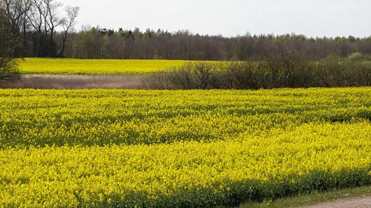 In Zentraler Ruhiger Lage Klatt In Kappeln